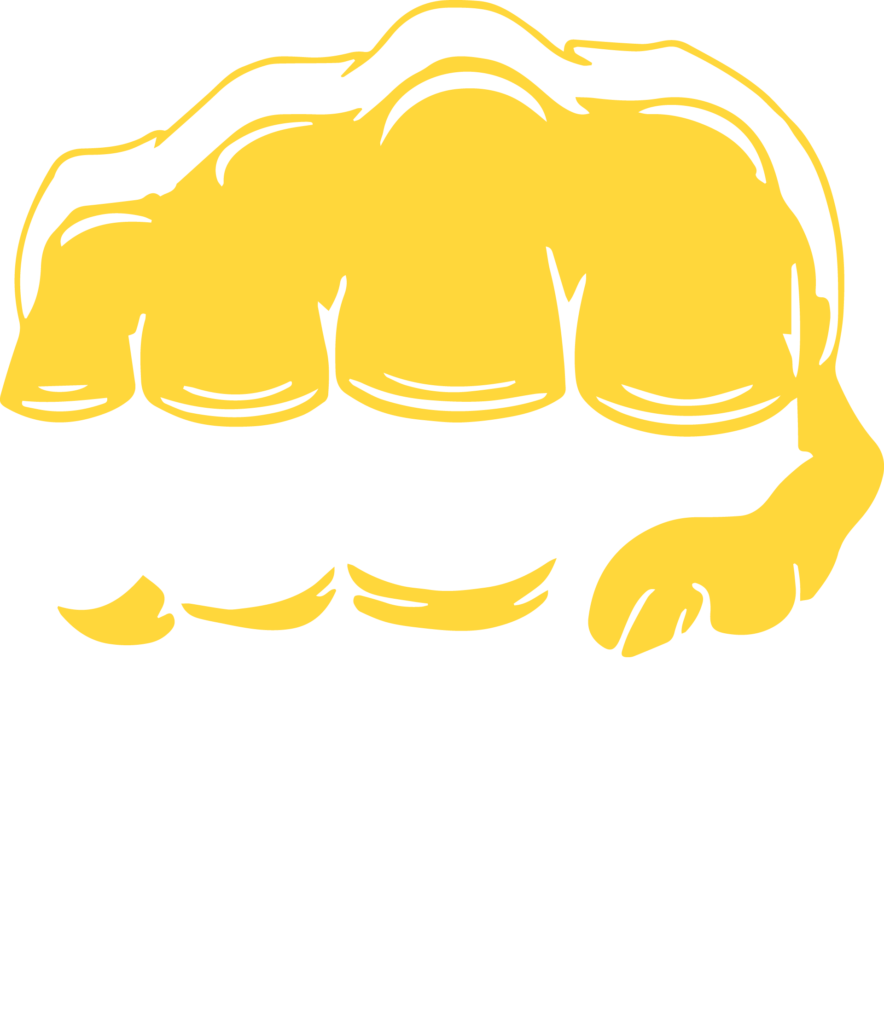 BKFC by Triller - Logo - Full Color - White